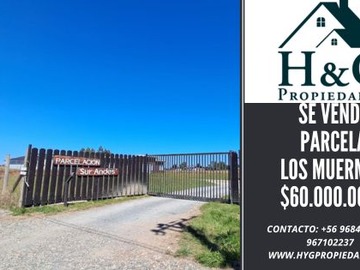 Venta / Parcela / Los Muermos