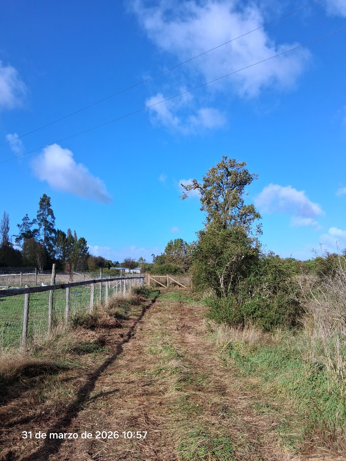Acceso servidumbre de tránsito