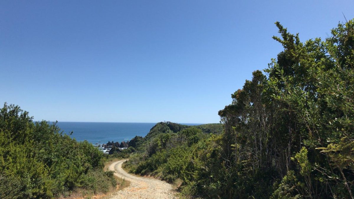 camino a la playa