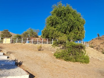 vista anterior del mirador