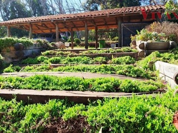 Imagen 6