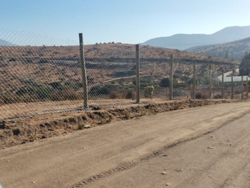 Imagen 7