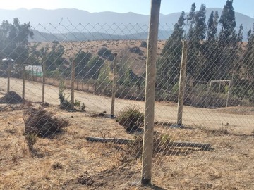 Imagen 9