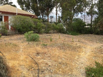 Venta / Parcela / Los Vilos