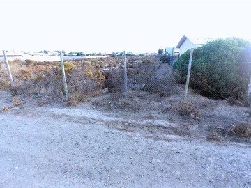 Imagen 5