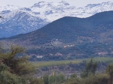 Imagen 4