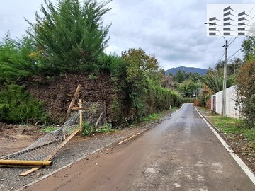 Imagen 11