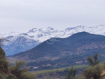 Imagen 5