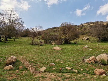 Venta / Parcela / Machalí
