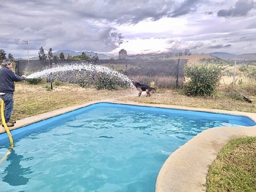 Imagen 10