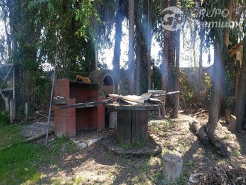Imagen 12