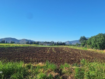 Venta / Parcela / Malloa