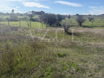 Imagen 8