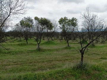 Imagen 13