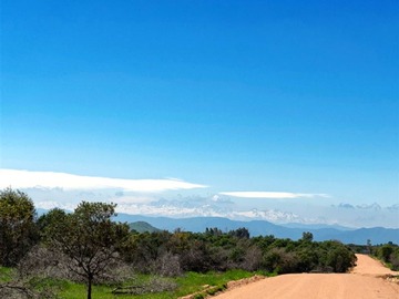 Venta / Parcela / Marchigüe