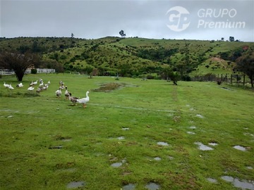 Imagen 27