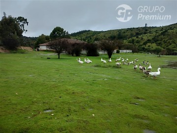 Imagen 26