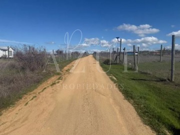 Venta / Parcela / Marchigüe