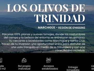 Imagen 6