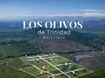 Imagen 10