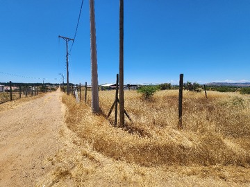 Venta / Parcela / Marchigüe