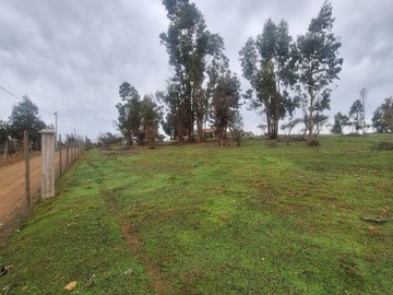 Imagen 9