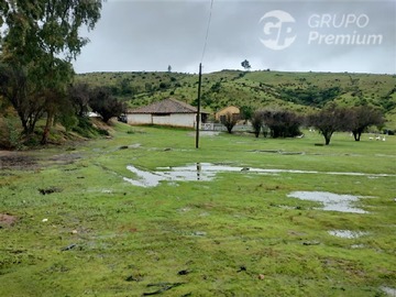Imagen 20