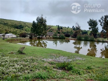Imagen 21