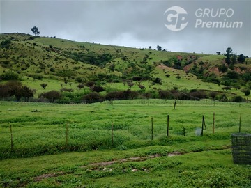 Imagen 28