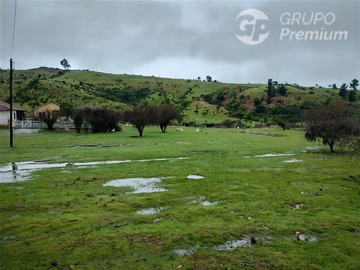 Imagen 25