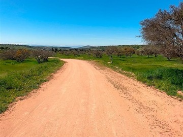 Venta / Parcela / Marchigüe