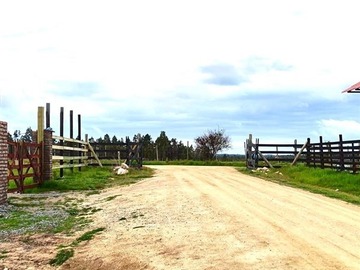 Venta / Parcela / Marchigüe