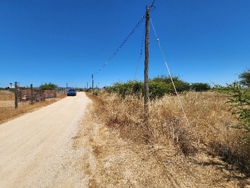 Venta / Parcela / Marchigüe