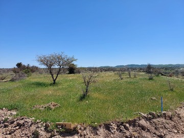 Venta / Parcela / Marchigüe