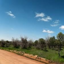 Imagen 25