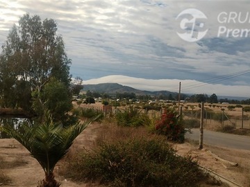 Imagen 16