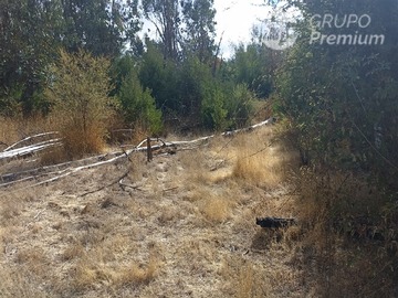 Imagen 11
