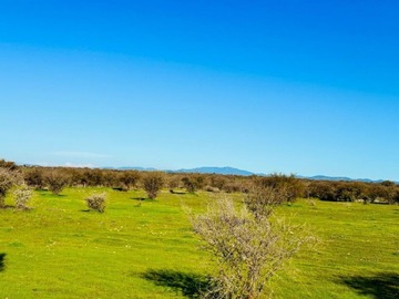 Venta / Parcela / Marchigüe