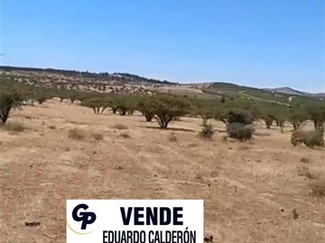 Venta / Parcela / Marchigüe