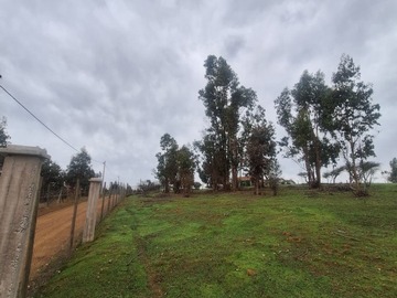 Imagen 8