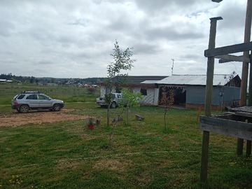 Imagen 16