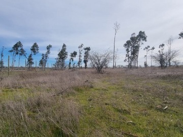 Venta / Parcela / Marchigüe
