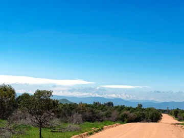 Venta / Parcela / Marchigüe