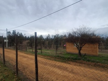Imagen 6
