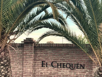 Venta / Parcela / Marchigüe