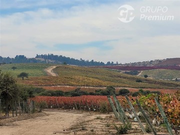 Venta / Parcela / Marchigüe