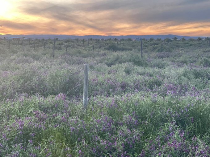 Parcelación 5000 mts2