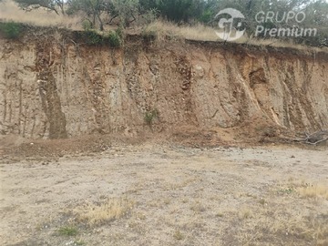 Imagen 7