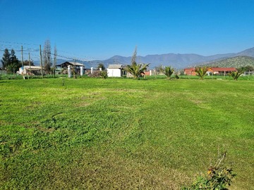 Imagen 12
