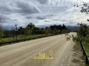 Imagen 7